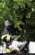 Vcely_007