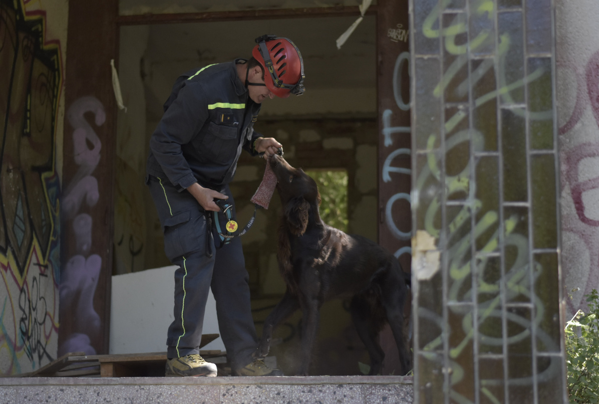 Výcvik kynologů zaměřený na sutinové vyhledávání ve výcvikovém prostoru Poštorná – Boří les