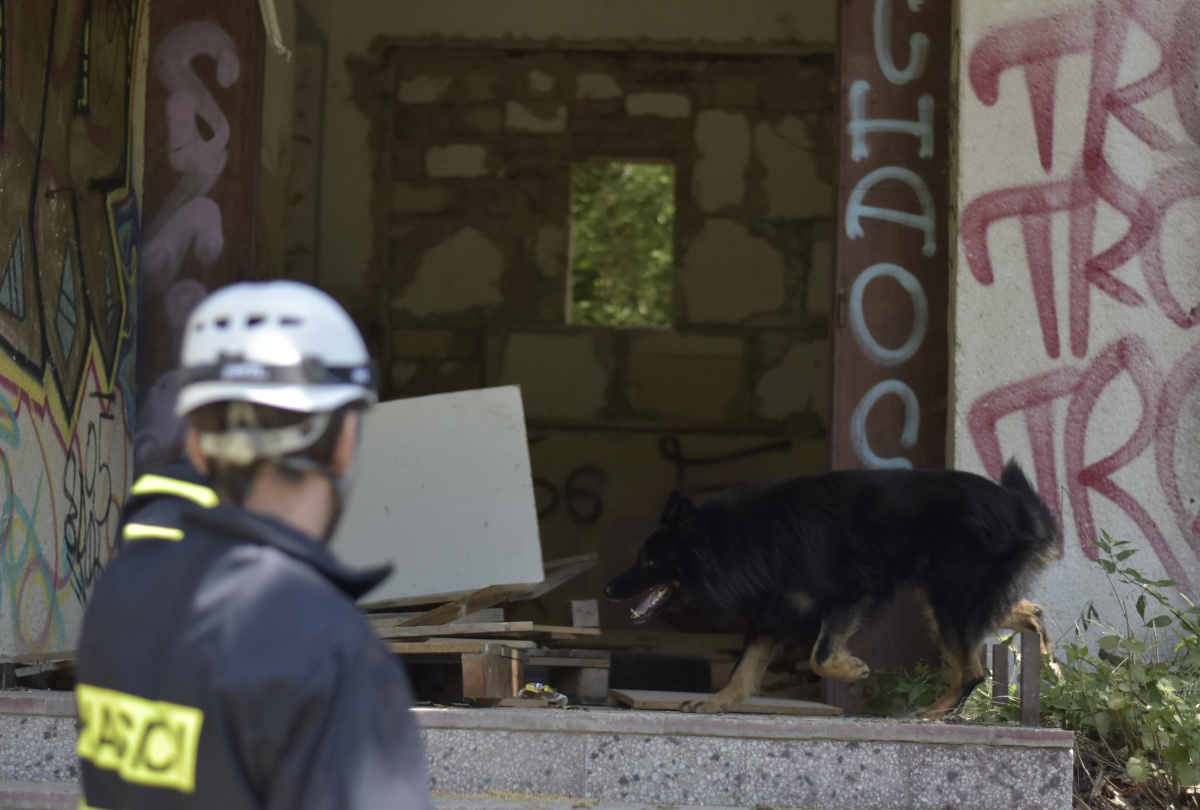 Výcvik kynologů zaměřený na sutinové vyhledávání ve výcvikovém prostoru Poštorná – Boří les