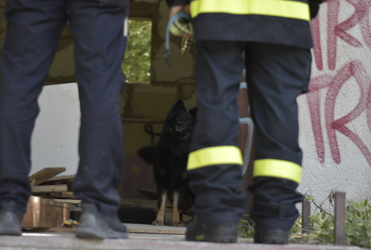 Výcvik kynologů zaměřený na sutinové vyhledávání ve výcvikovém prostoru Poštorná – Boří les