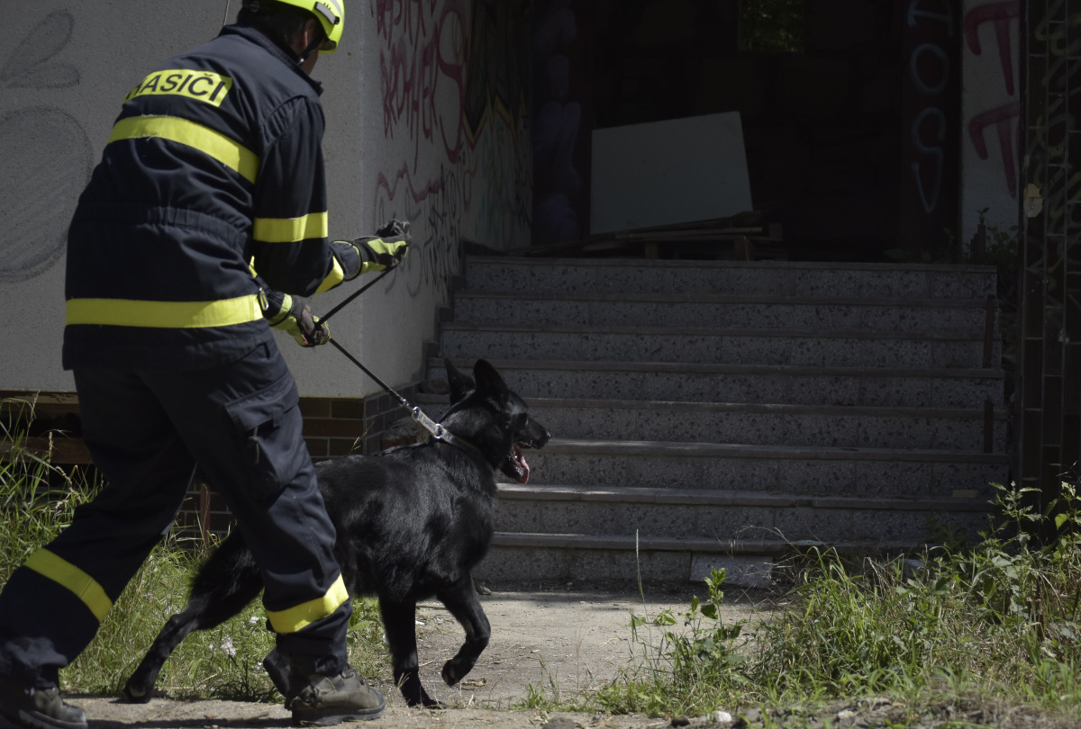 Výcvik kynologů zaměřený na sutinové vyhledávání ve výcvikovém prostoru Poštorná – Boří les