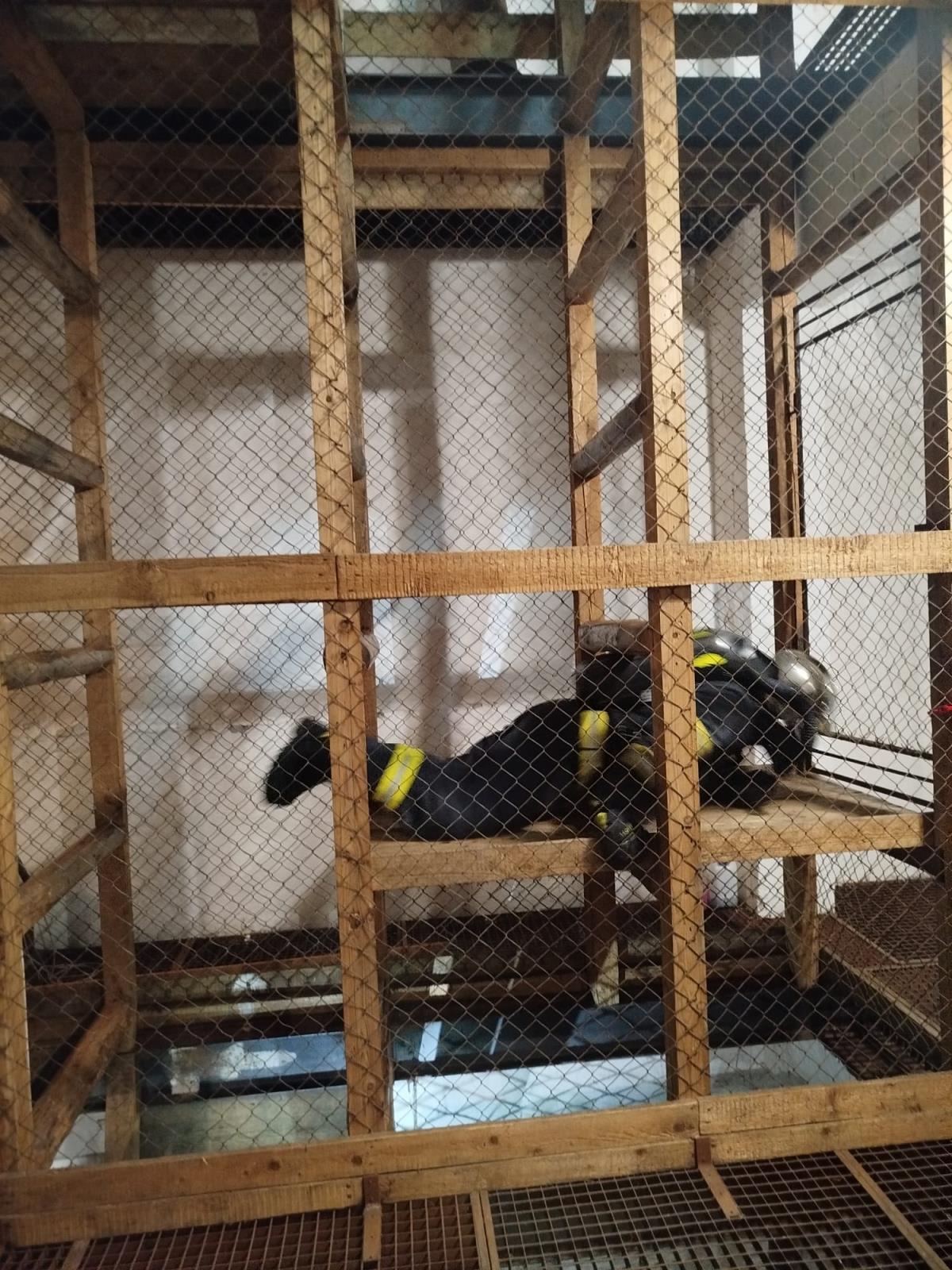 Výcvik v polygonu.jpeg