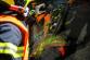 Vyprostovani_regio_2022 (4)