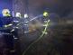 WhatsApp Image 2020-05-18 at 07.58.54 (4)