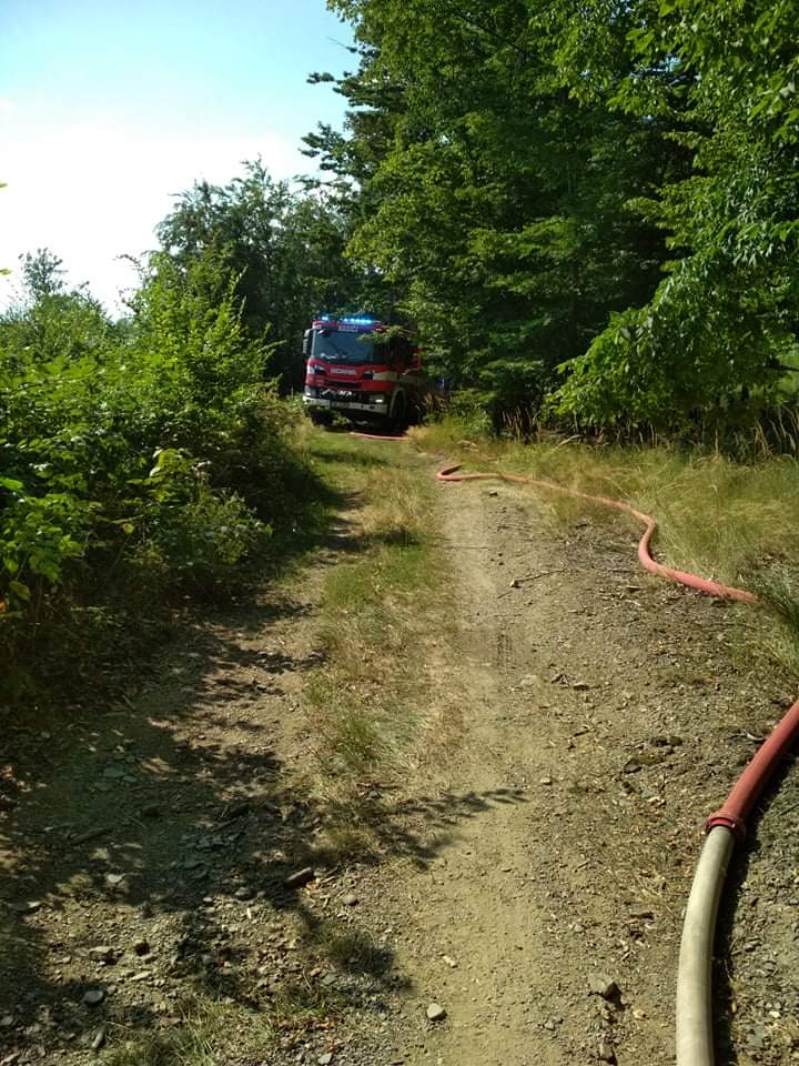 WhatsApp Image 2020-08-12 at 15.57.40.jpeg