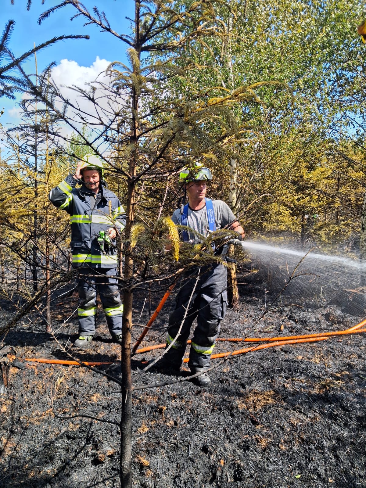 WhatsApp Image 2025-06-29 at 18.16.22.jpeg