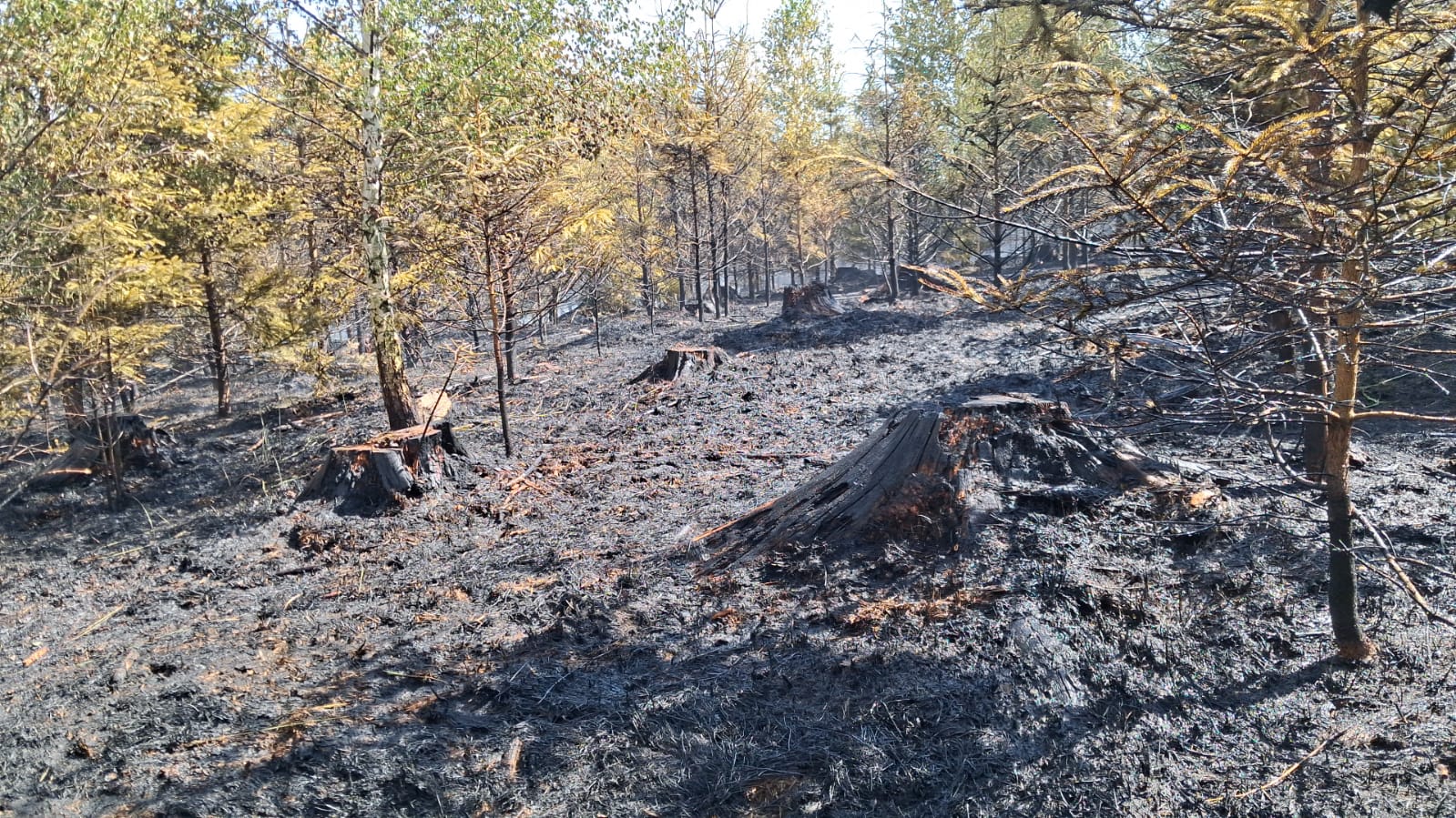 WhatsApp Image 2025-06-29 at 18.16.23.jpeg