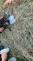WhatsApp Image 2025-07-02 at 19.44.12(1)