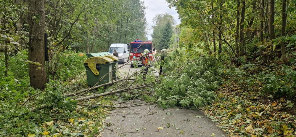 WhatsApp Image 2025-09-24 at 13.28.58(1).jpeg