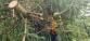 WhatsApp Image 2025-09-24 at 19.36.21(1)