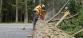 WhatsApp Image 2025-09-24 at 19.36.21(3)