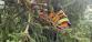 WhatsApp Image 2025-09-24 at 19.36.22