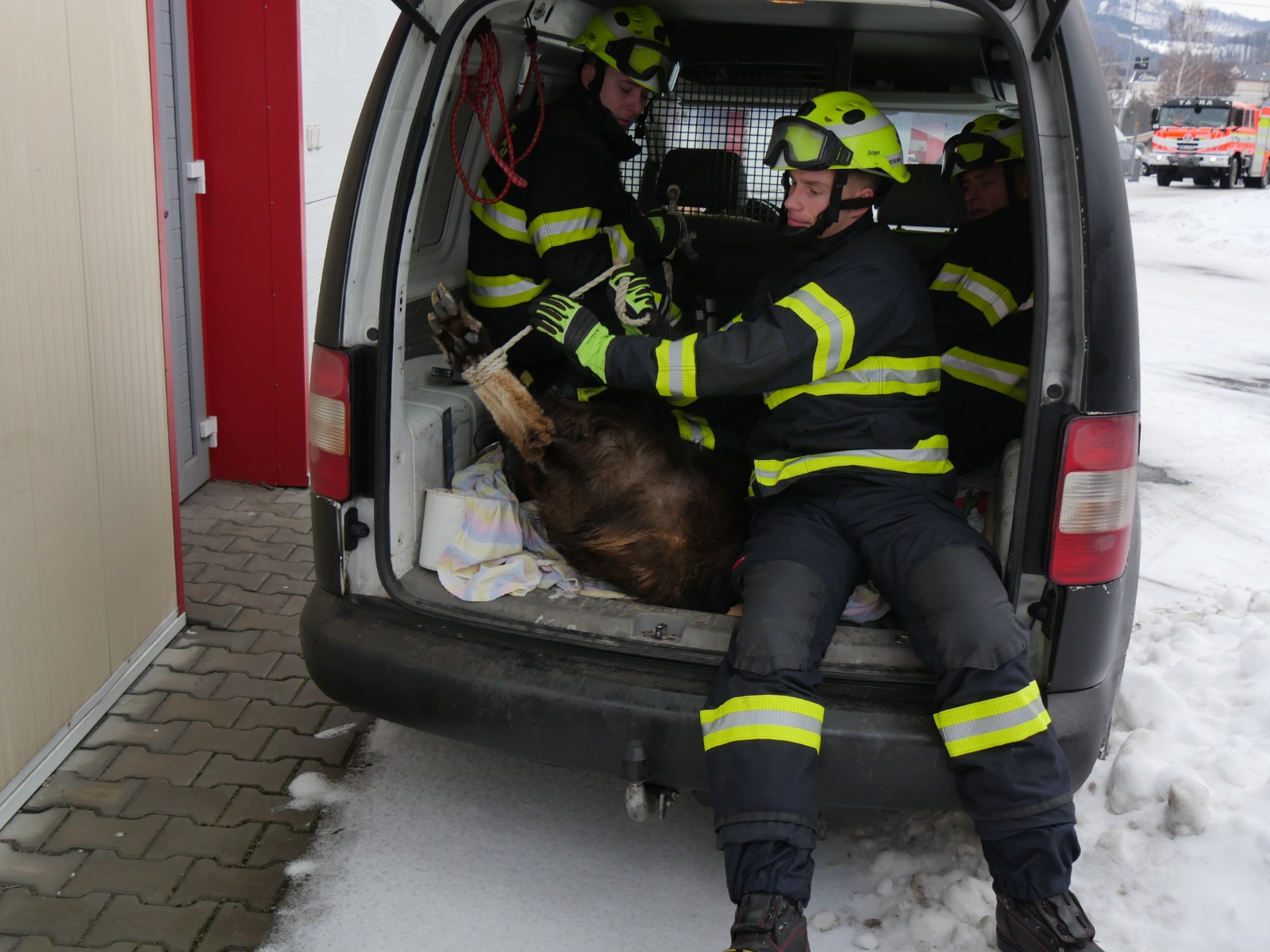 WhatsApp Image 2026-01-15 at 09.26.43(6).jpeg