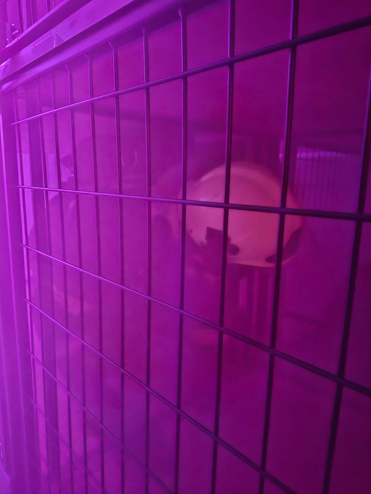 WhatsApp Image 2026-03-07 at 10.21.57(1).jpeg