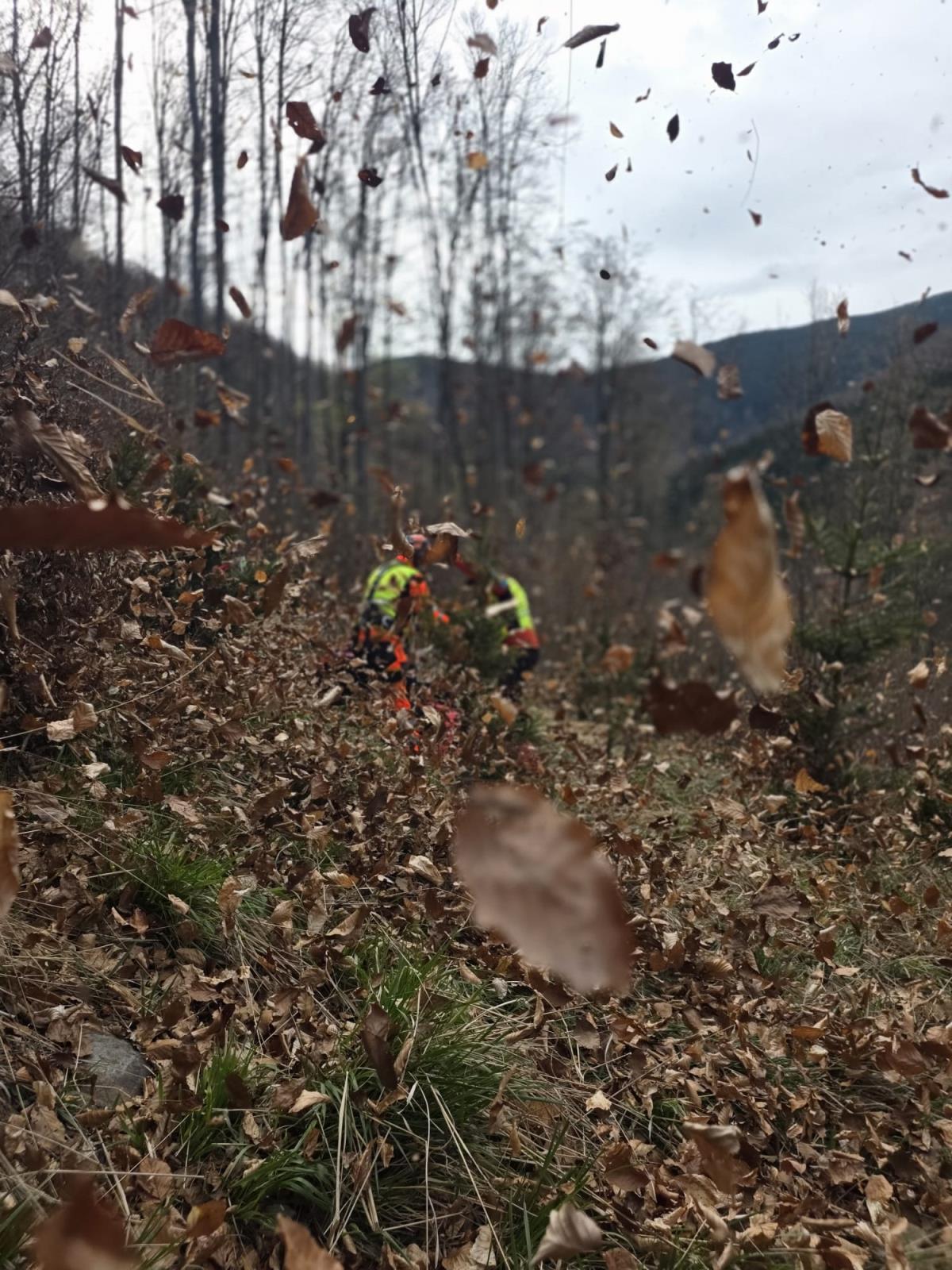 WhatsApp Image 2026-04-23 at 10.36.08.jpeg