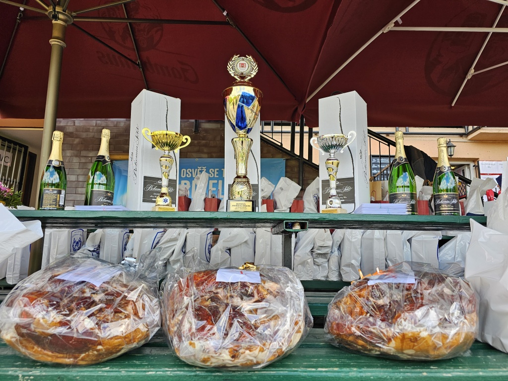 XVIII. ročník Memoriálu Jinřicha Šmause (47).jpg