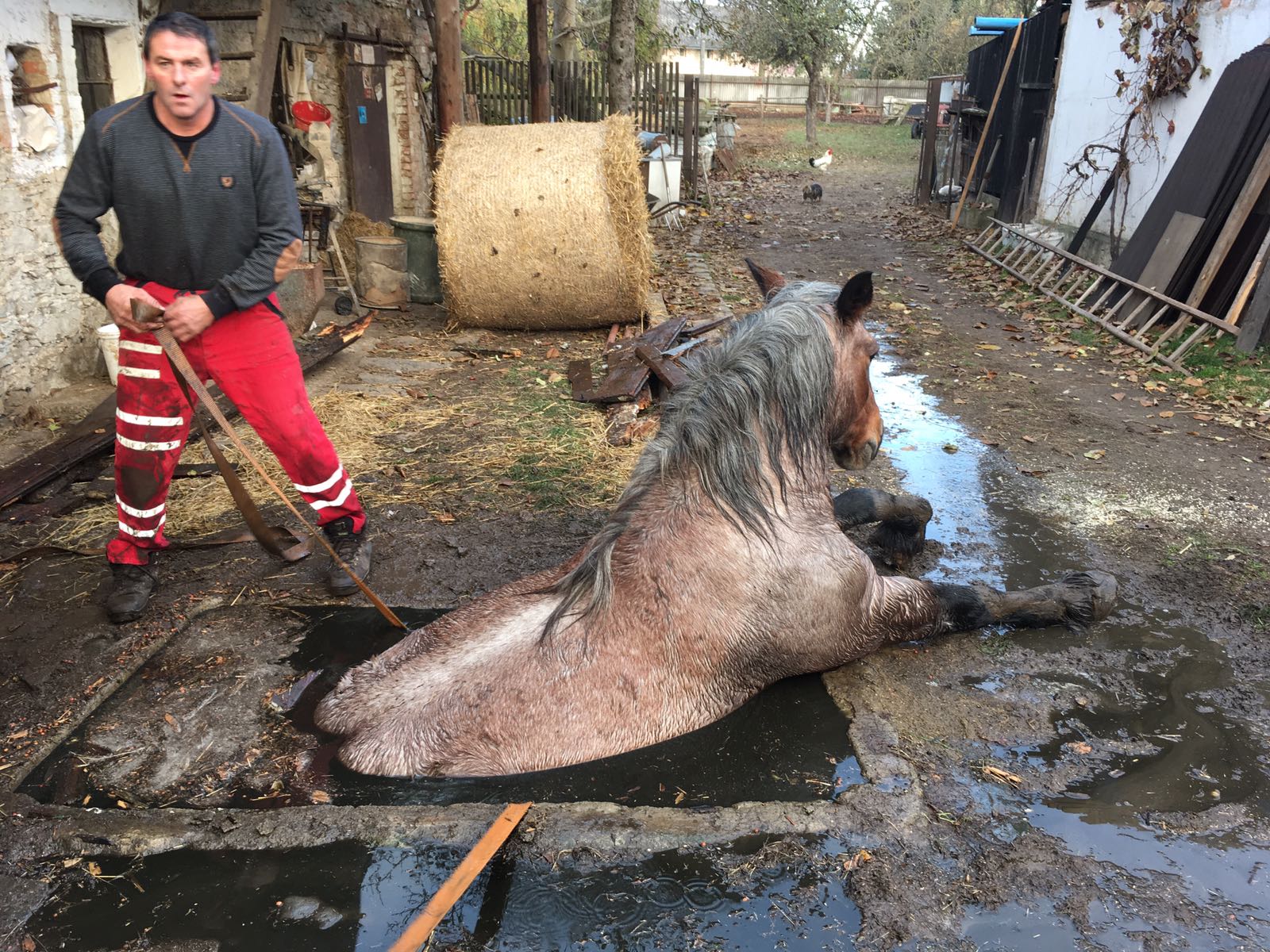 ZOZ_chudobin_14-11-2016