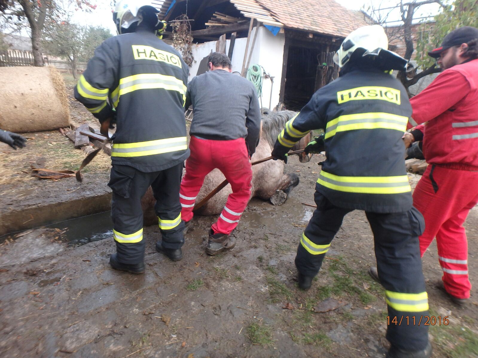 ZOZ_chudobin_14-11-2016