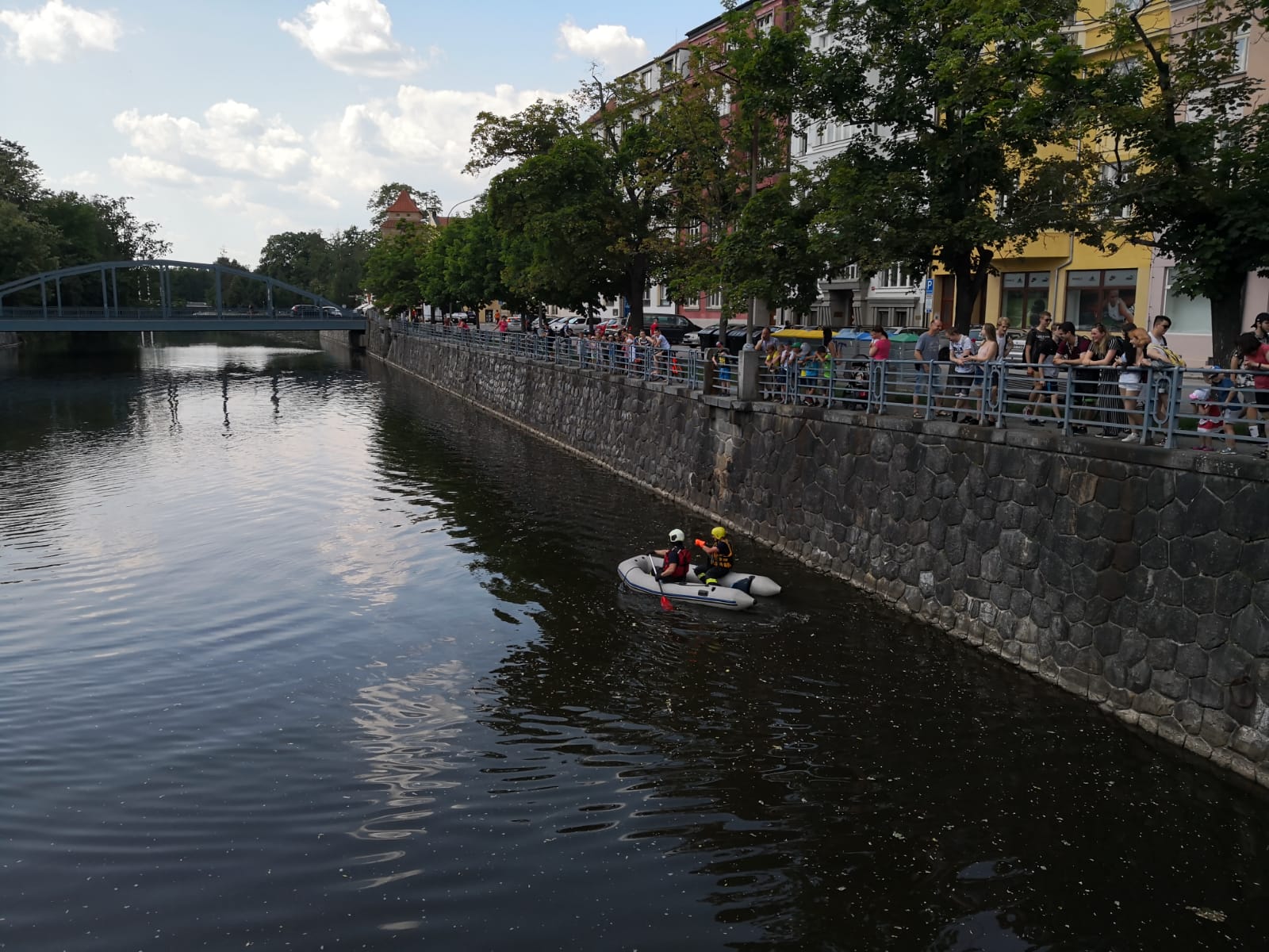 Záchrana ježka, České Budějovice - 5. 6. 2019 (1).jpg