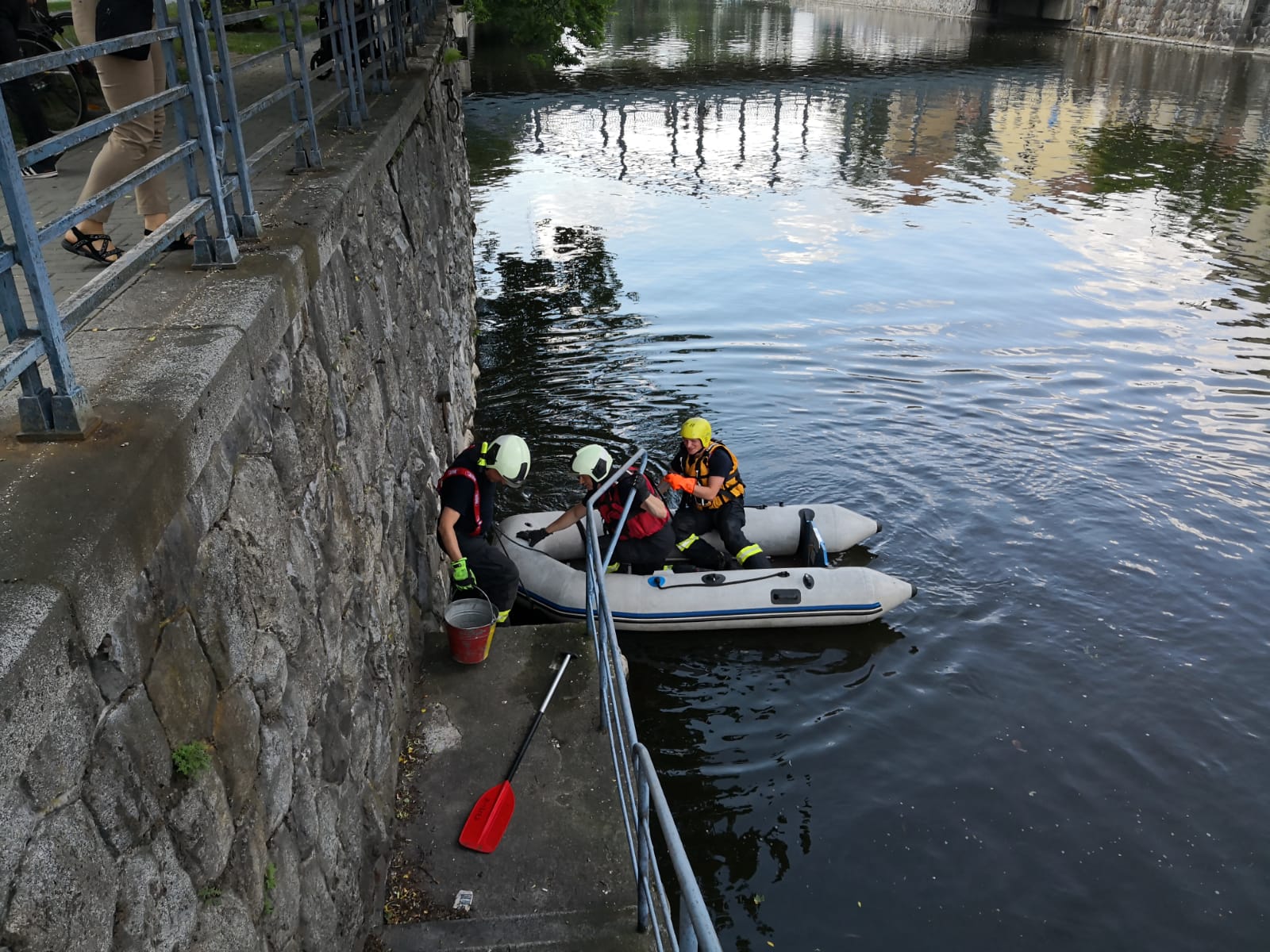 Záchrana ježka, České Budějovice - 5. 6. 2019 (2).jpg