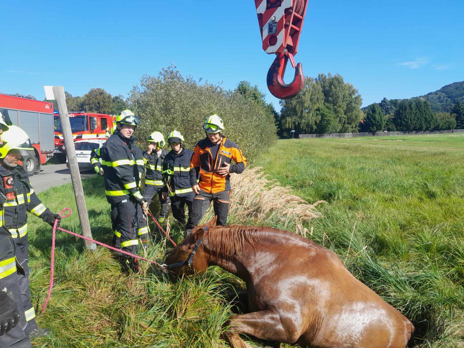 Záchrana koně, Noviny pod Ralskem, 19. 9. 2025