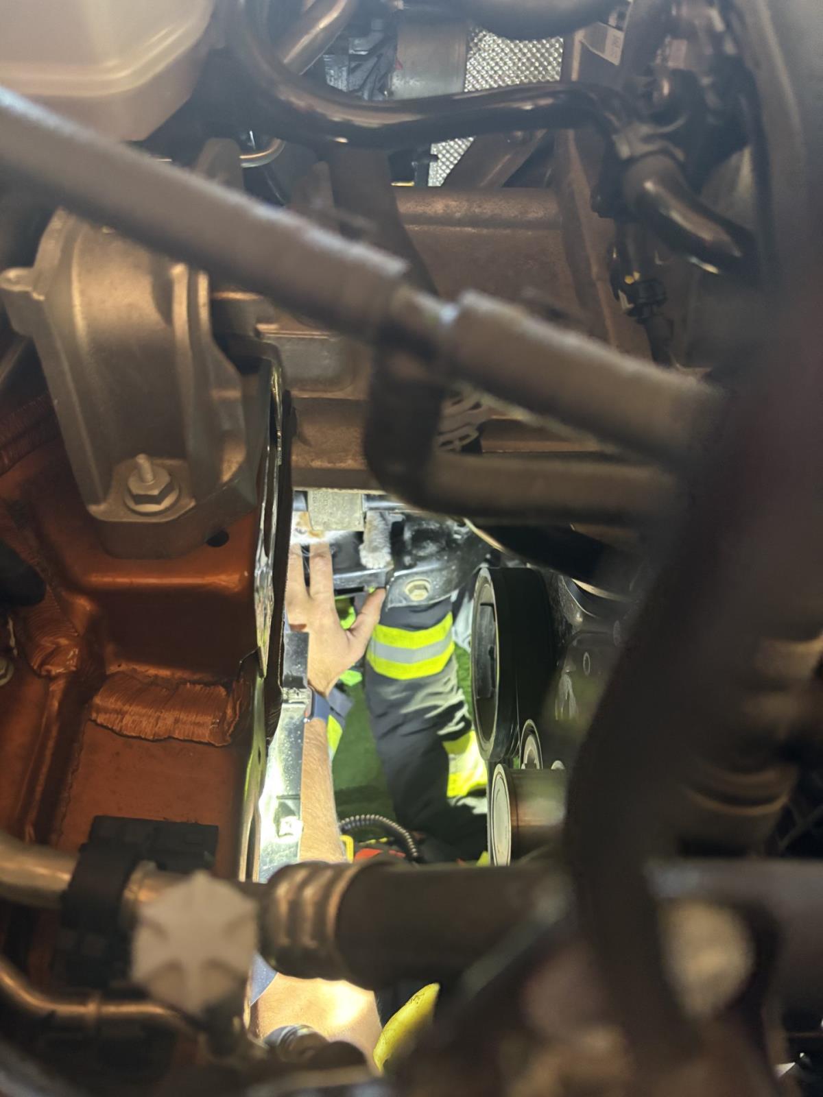 Záchrana kotěte, Liberec