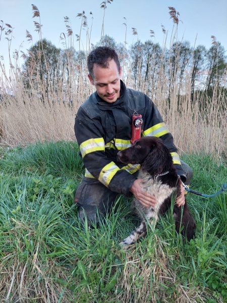 Záchrana zvířete, Vernéřovice (1).jpg