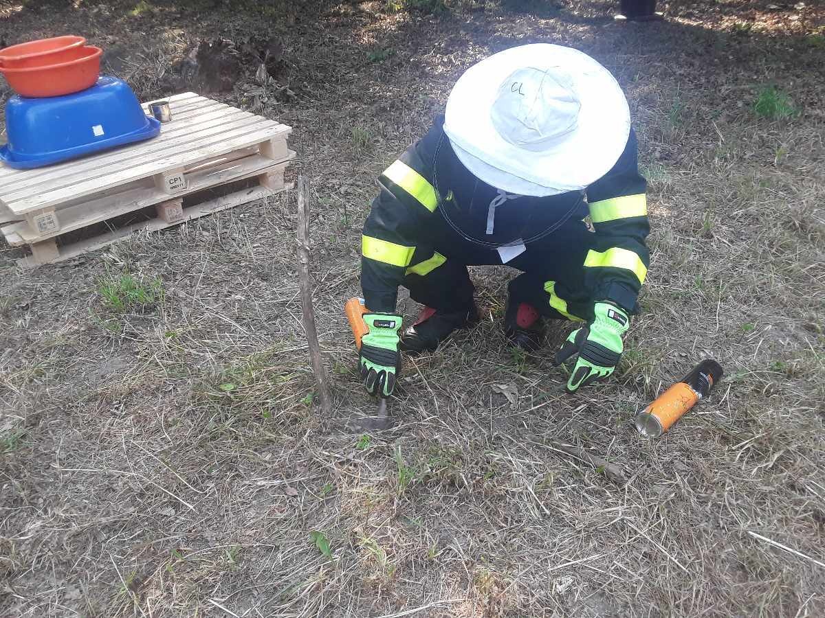 Zásah, skautský tábor Stvolínky, 2023