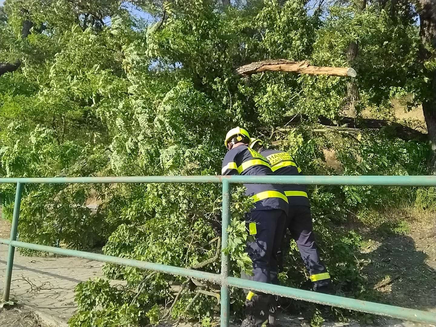 Zastávka.jpeg