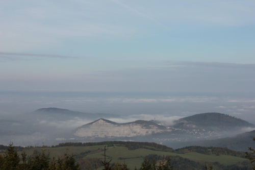 behTotman2016 (2).JPG