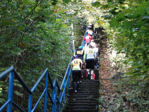 behTotman2016_II (10).JPG