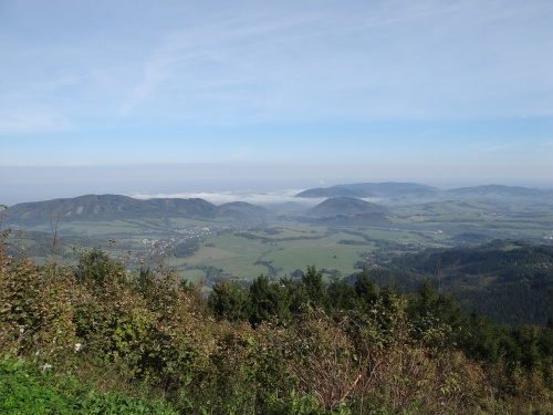 behTotman2016_II (17).JPG