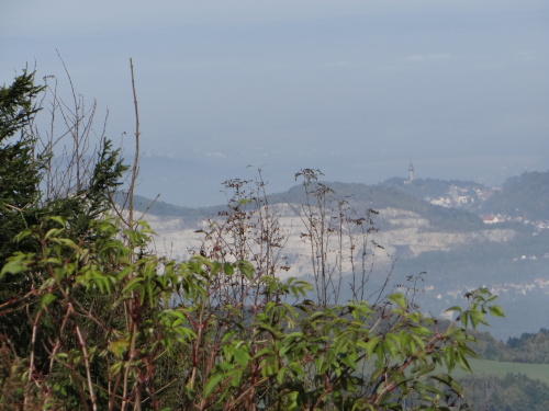 behTotman2016_II (18).JPG