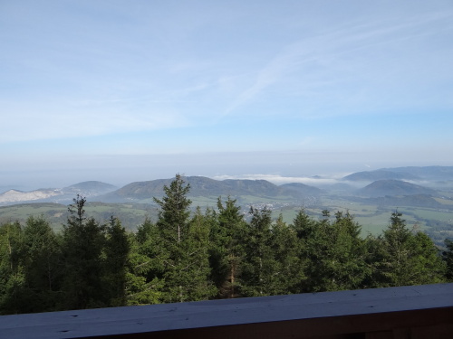 behTotman2016_II (19).JPG