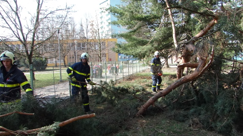 boroviceskolkaOstrava (14).JPG