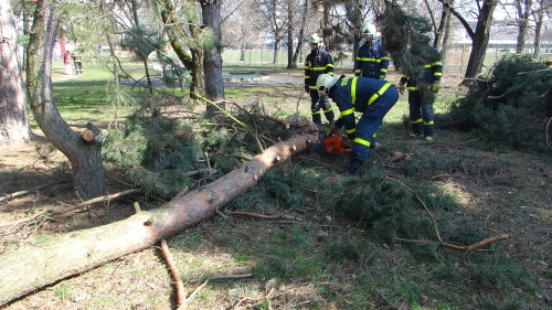 boroviceskolkaOstrava (18).JPG