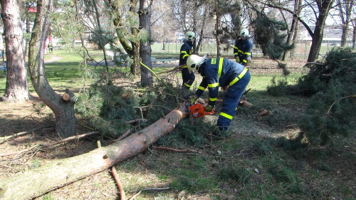 boroviceskolkaOstrava (19).JPG