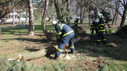 boroviceskolkaOstrava (20).JPG