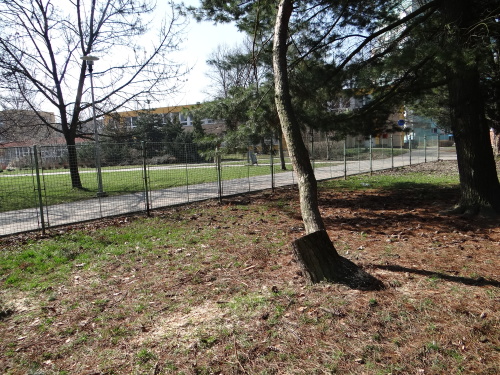 boroviceskolkaOstrava (24).JPG