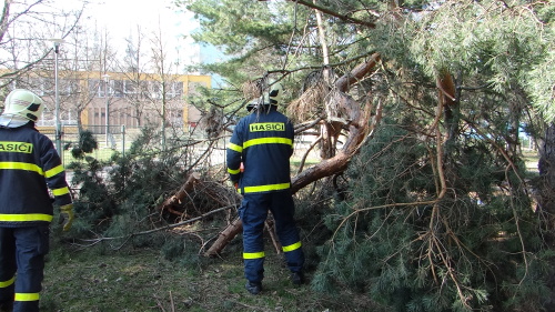 boroviceskolkaOstrava (12).JPG