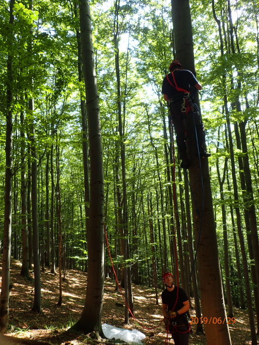 bukparaglidistaKrasna (1 FM) (3).JPG