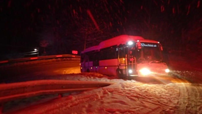 bussnihKruzberk (3).JPG