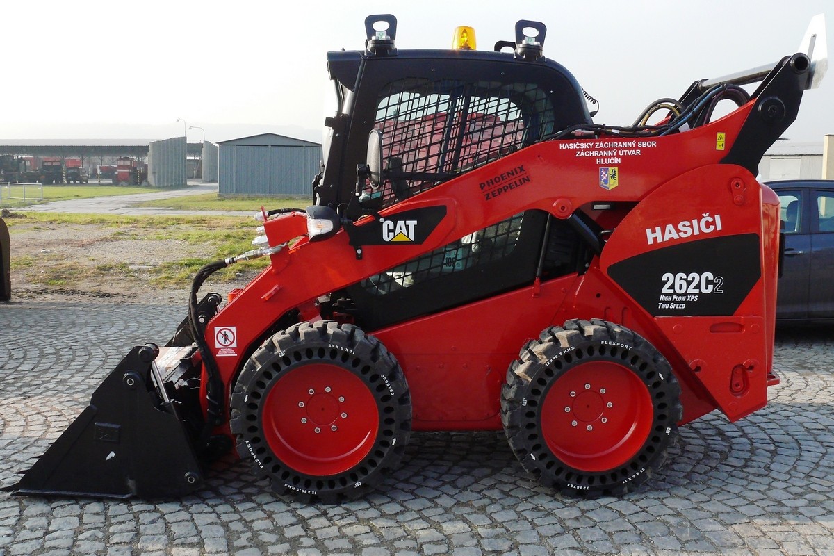 cat 262.JPG