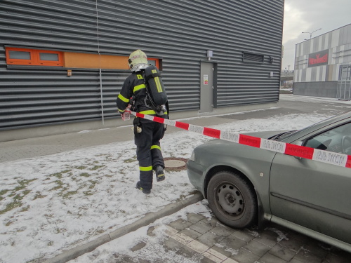 cviceniIZSamoniakPolarka_FrydekMistek (9).JPG
