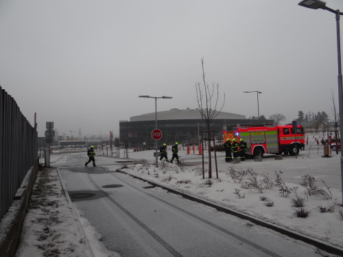 cviceniIZSamoniakhalaTrinec (4).JPG