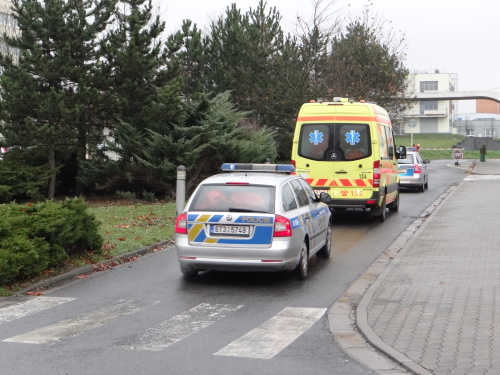 cviceniIZSebolaFNOstrava (41).JPG