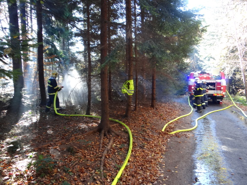 cviceniIZSmezinarodniHrcava (22).JPG