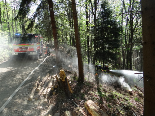 cviceniIZSpozarlesaPrasiva (FM) (12).JPG