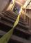 cviceni_pozar_kostel_Bilovec_NJ_1