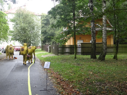 cvicenivodarnachlorOstrava (17).JPG
